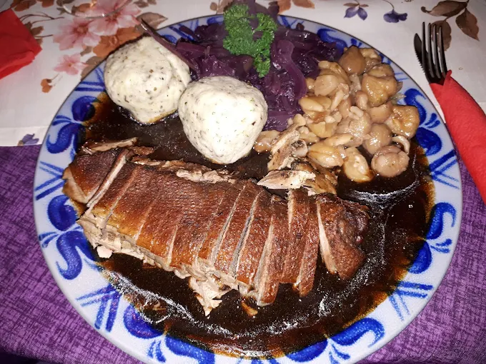 Gänsebrust mit Rotkohl, Kartoffelknödel und Kastanien auf blauem Zwiebelmuster-Geschirr