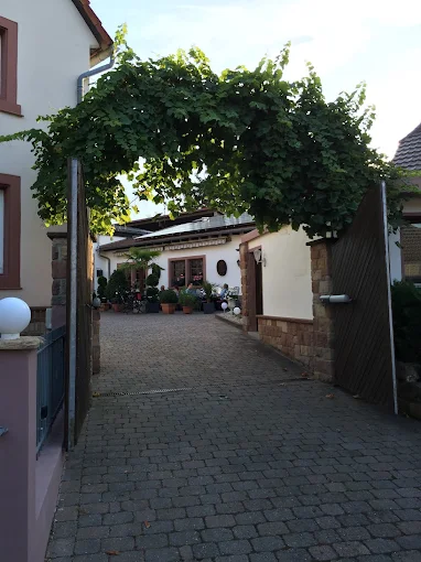 Einfahrt zur Weinstube — Hahnegässel-Gasse mit Weinrebe-Bogen